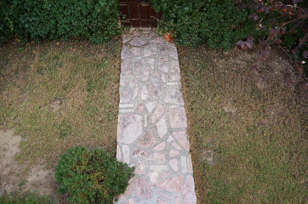 Villa The Platanus Tree Kato Vasiliki Exterior photo