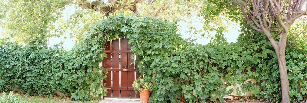 Villa The Platanus Tree Kato Vasiliki Exterior photo
